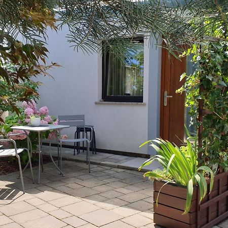 Studio Emma Ljubljana - Free Parking, Ac, Wifi Dış mekan fotoğraf