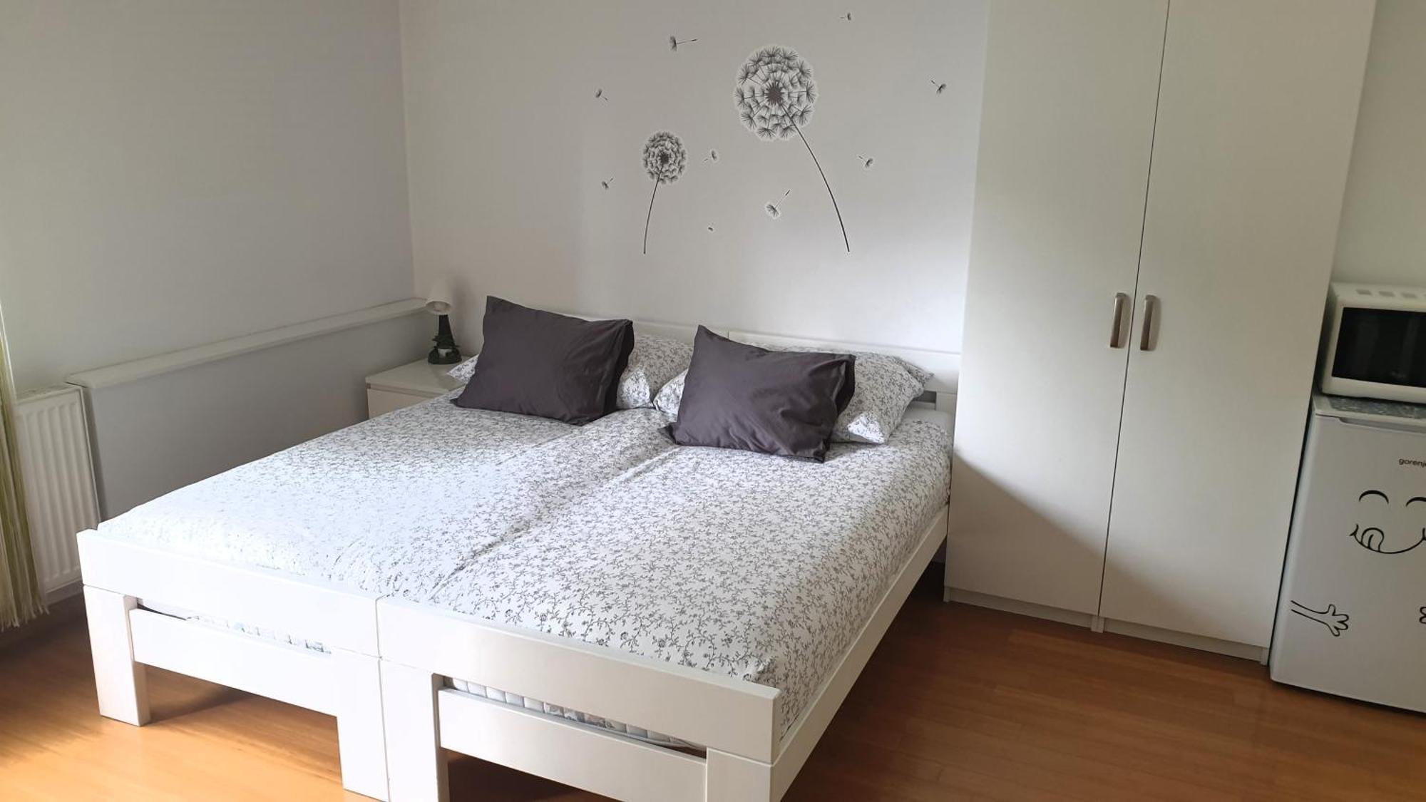Studio Emma Ljubljana - Free Parking, Ac, Wifi Dış mekan fotoğraf