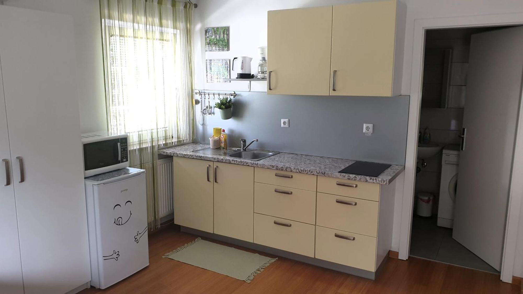 Studio Emma Ljubljana - Free Parking, Ac, Wifi Dış mekan fotoğraf