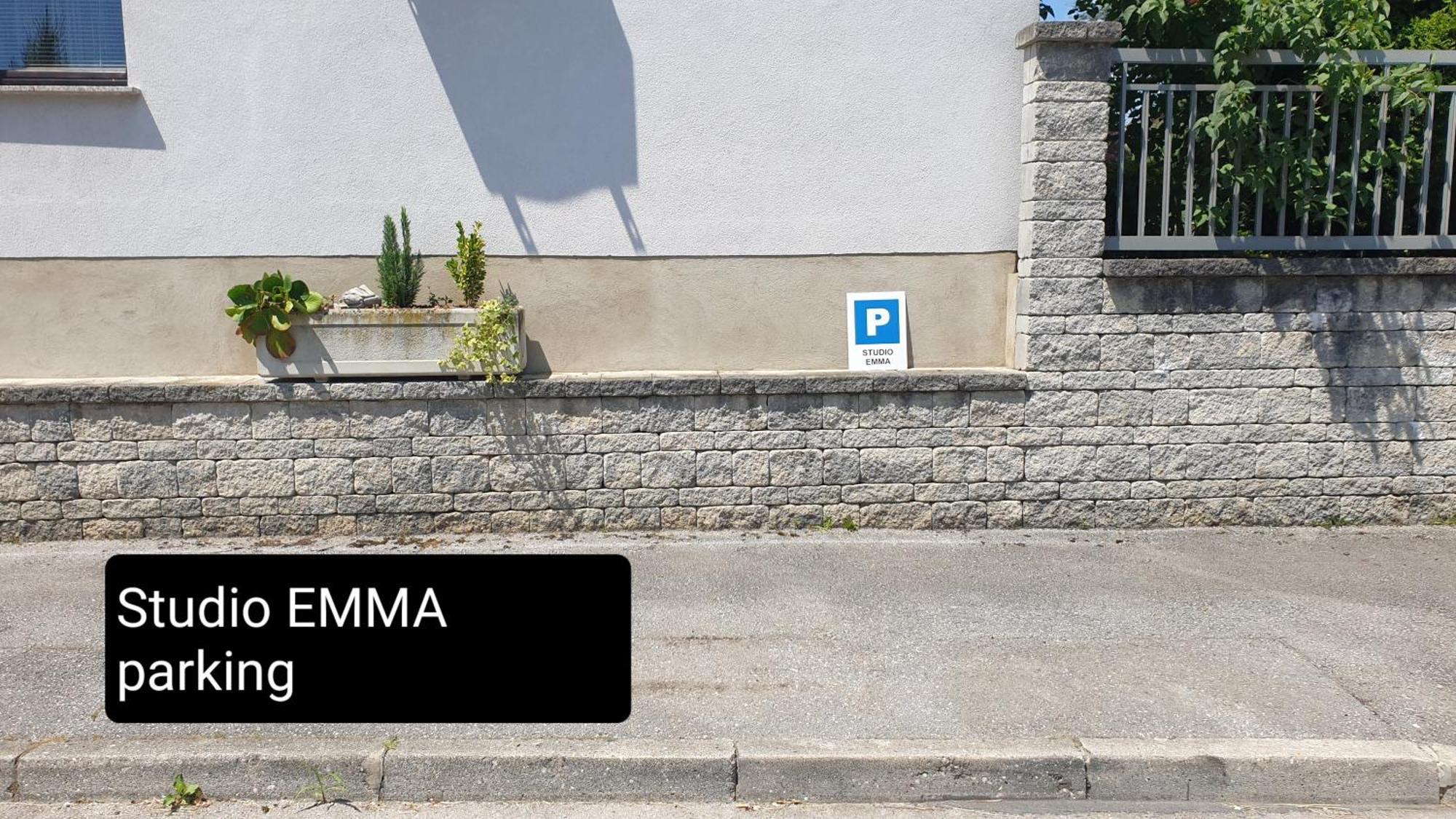 Studio Emma Ljubljana - Free Parking, Ac, Wifi Dış mekan fotoğraf