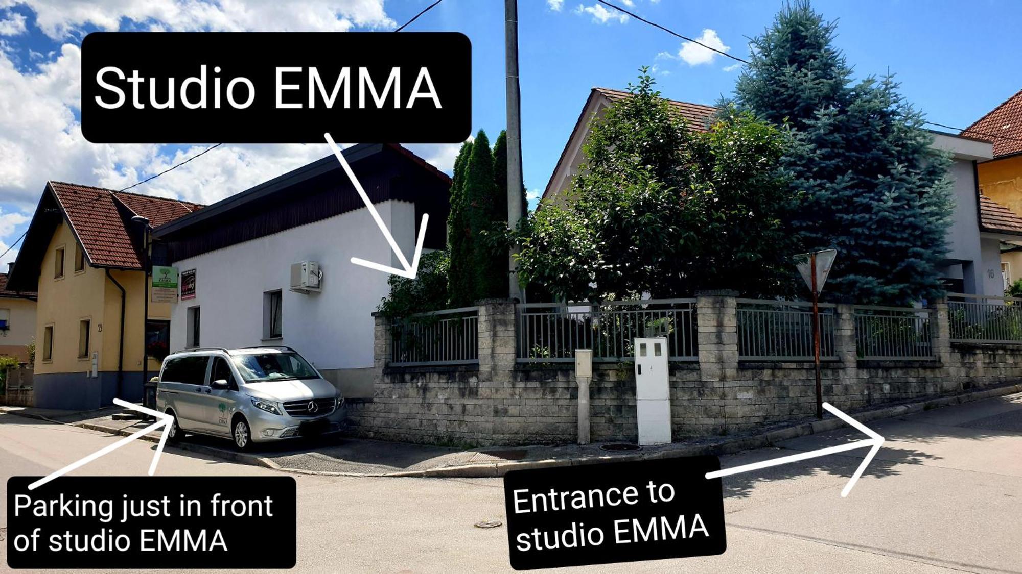 Studio Emma Ljubljana - Free Parking, Ac, Wifi Dış mekan fotoğraf